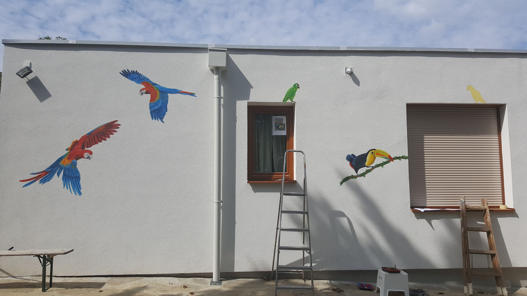 Casa de los Pajaros, Acrylic on facade, Private - 1230 Vienna